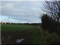 Farmland off Campion Lane