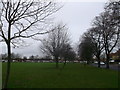 Trees in Vinall Park, Twydall