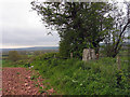 Field edge with trig point