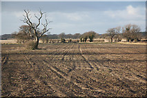 SK8771 : Harby farmland by Richard Croft