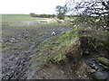 Arable farmland near Eckington