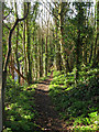 Footpath to White Way