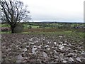 H4166 : Muddy ground, Baronagh by Kenneth  Allen