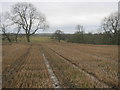 NZ4130 : Field on Embleton Moor with crop stubble by peter robinson