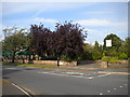 Trees hiding a pub