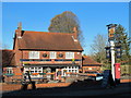 The Golden Lion, Alresford Road, Fairdown, SO23