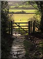 NZ8607 : Gate on Esk Valley Walk by Derek Harper
