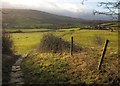 Esk Valley Walk approaching Thistle Grove