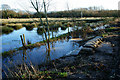 Flooding at Alverstone, Isle of Wight