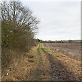 Track towards Wainbody Wood Farm