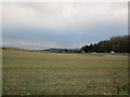 Farmland near Kincaidston