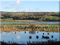 Cuckmere Flood Plain