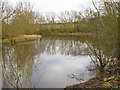 Pond off Cryfield Grange Road