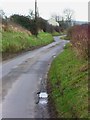 The road to West Burton from Bignor