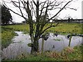 Flooded ground, Shaneragh