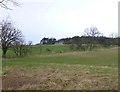 Looking across the fields from the bridleway