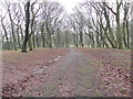 Littlemoor Park - viewed from Park Lane