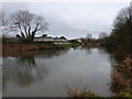 Iford: the Stour heads towards Christchurch