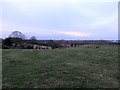 Baginton Farmland