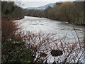 River Taff looking downstream near Cilfynydd
