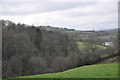 Mid Devon : Grassy Countryside