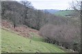 Mid Devon : Hillside Scenery