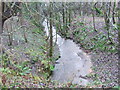 Stream from the Forth and Clyde Canal