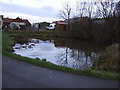 NZ3811 : Duck pond, Newsham Hall by JThomas