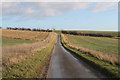 TF1894 : Unnamed Lane to Binbrook by J.Hannan-Briggs
