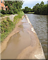 Puddles on the Grand Union towpath