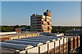 Walnuts rooftops