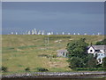 NB2133 : Callanish: the stones from a distance east by Chris Downer