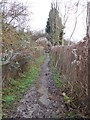 Footpath between Old Tree Lane and Brishing Lane