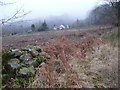 View to Cerrig Mawr