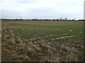 NZ3714 : Farmland, Westgate Farm by JThomas