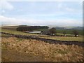 Overlooking Freshfields Donkey Sanctuary