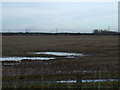 Farmland near Urlay Nook