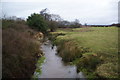 Amerton Brook at Shirleywich