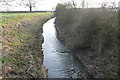 River Till from Cot Garth Lane