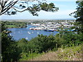 NB4232 : Stornoway: a view over the town and harbour by Chris Downer