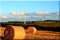 Barley Harvest Lochgelly