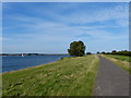 SK9306 : Cycle path along the shore of  Rutland Water by Mat Fascione