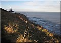 NZ9210 : Coastal slope at Whitby Lighthouse by Derek Harper