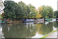 Narrowboats, Lea Navigation