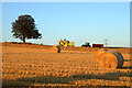 Harvest Time at Kirkness Farm