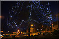 Christmas lights on a tree, Wellmeadow, Blairgowrie