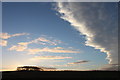 Copse near Abbotshill Ayrshire