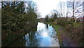 Bridgewater Canal, Grappenhall