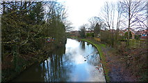 SJ6486 : Bridgewater Canal, Grappenhall by Richard Cooke