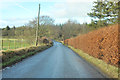 Minor road at Tullibardine